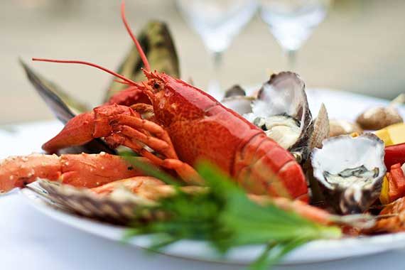 The treasure of The Ocean