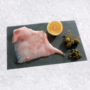 FILETE DE MANTARRAYA dasyatis longa ( Raya Blanca)